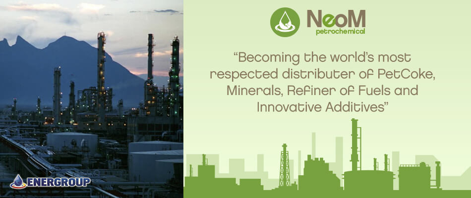 NeoM Petrochemical Slide